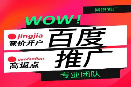 百度推广的移动端策略：某APP的快速增长之路